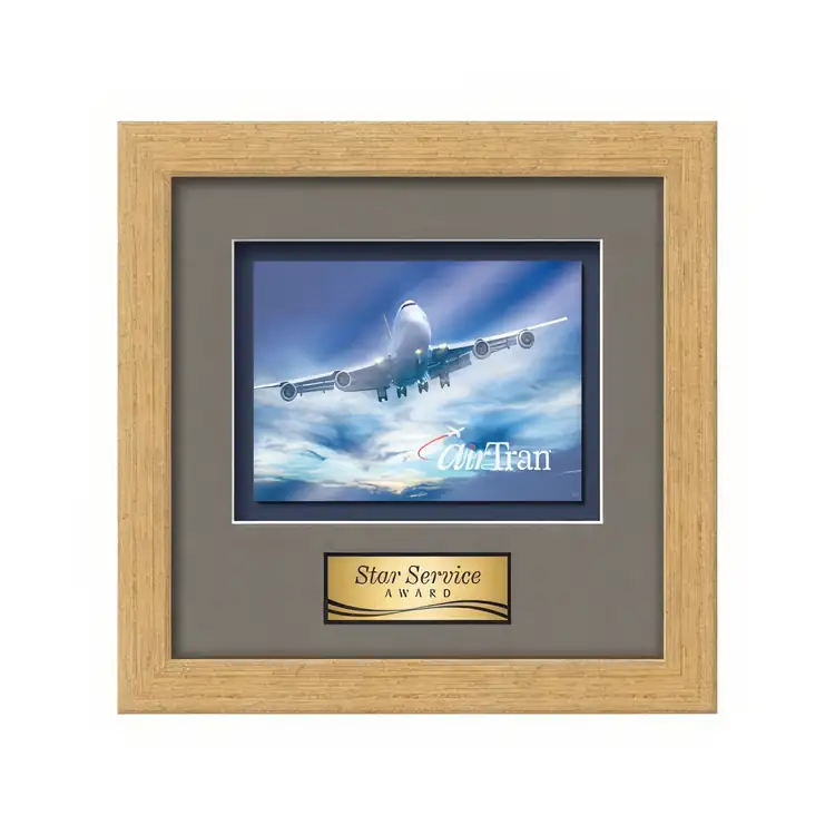 Waterleaf Eldridge Multicolor on Metal Framed Award #12