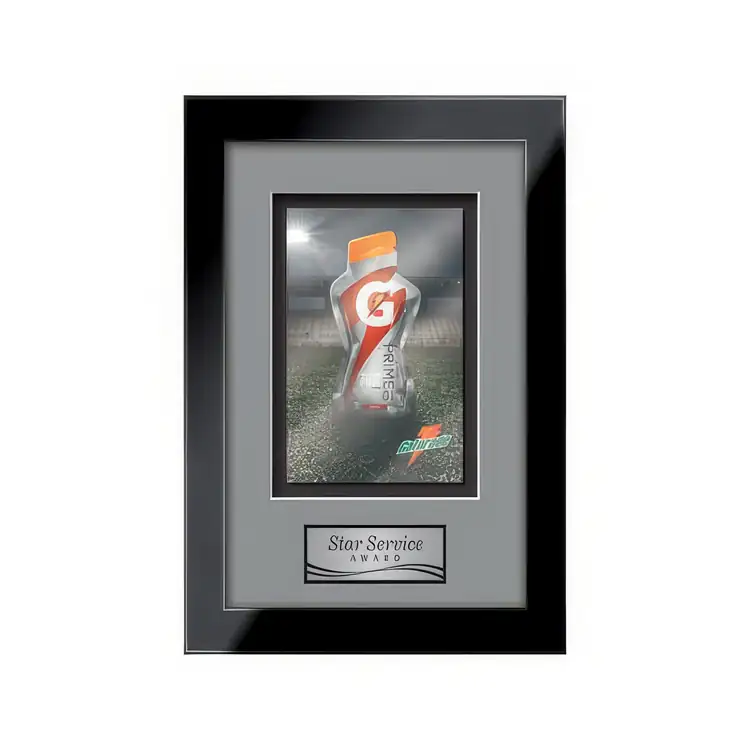 Waterleaf Eldridge Multicolor on Metal Framed Award #18