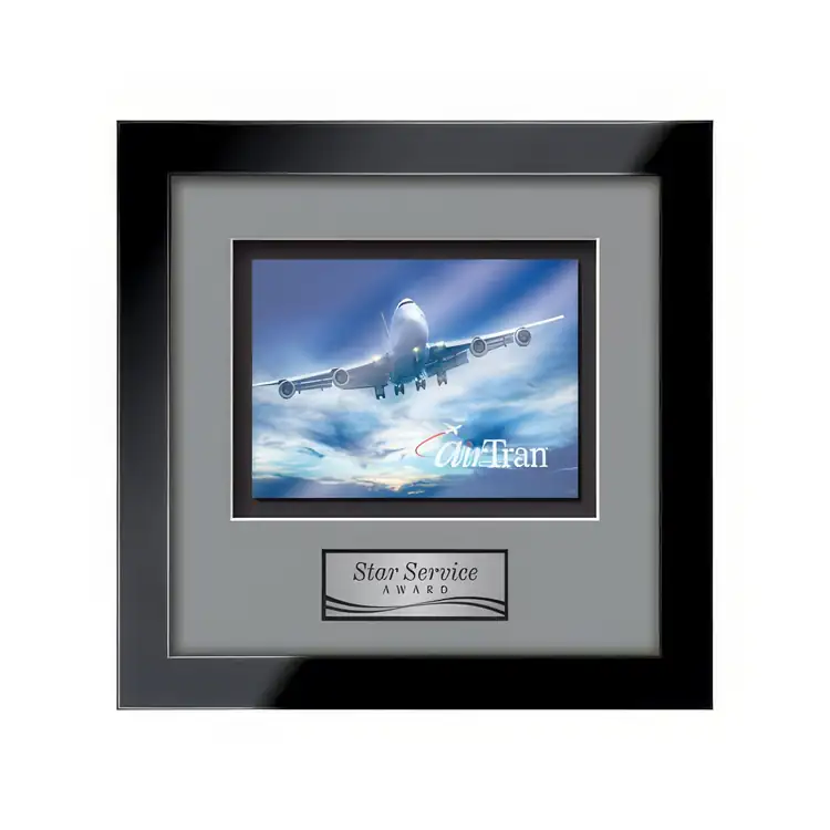 Waterleaf Eldridge Multicolor on Metal Framed Award #20