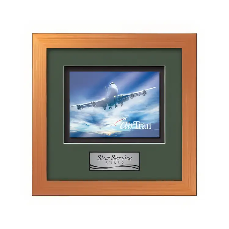 Waterleaf Eldridge Multicolor on Metal Framed Award #28