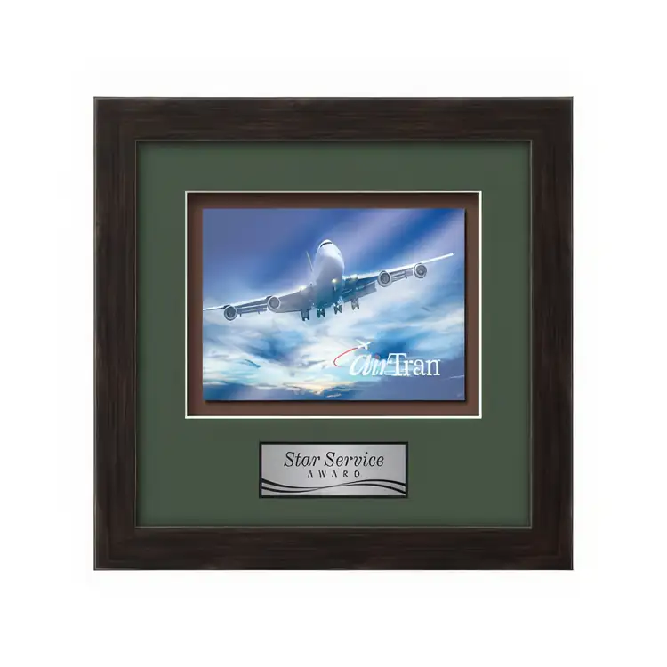 Waterleaf Eldridge Multicolor on Metal Framed Award #36