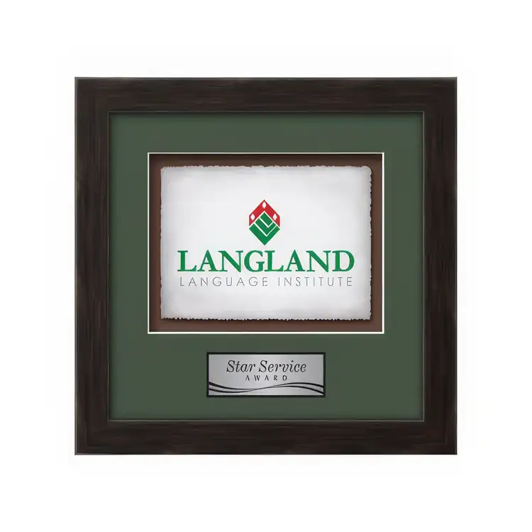 Waterleaf Eldridge Multicolor on Artisan Paper Framed Award #28