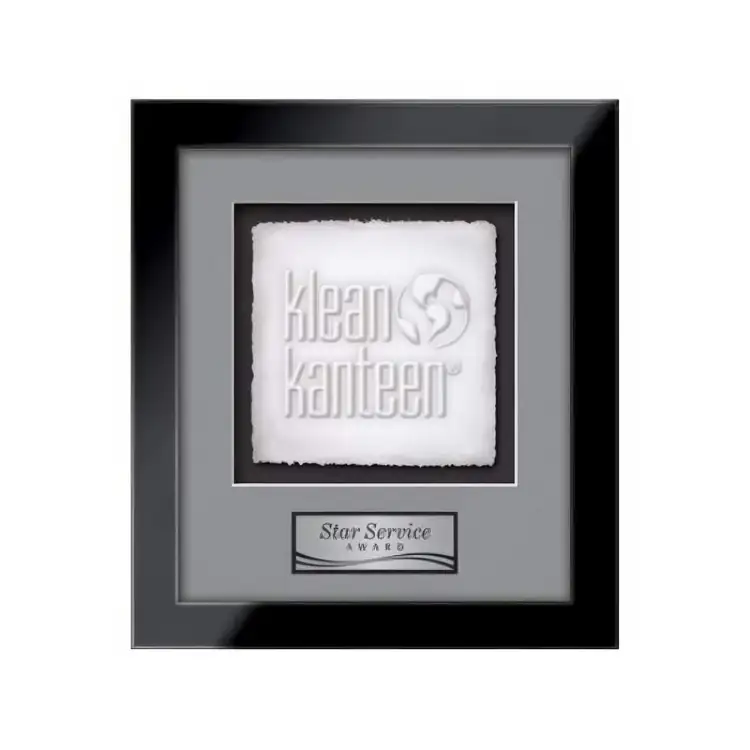 Waterleaf Eldridge Cast Paper Framed Award #12