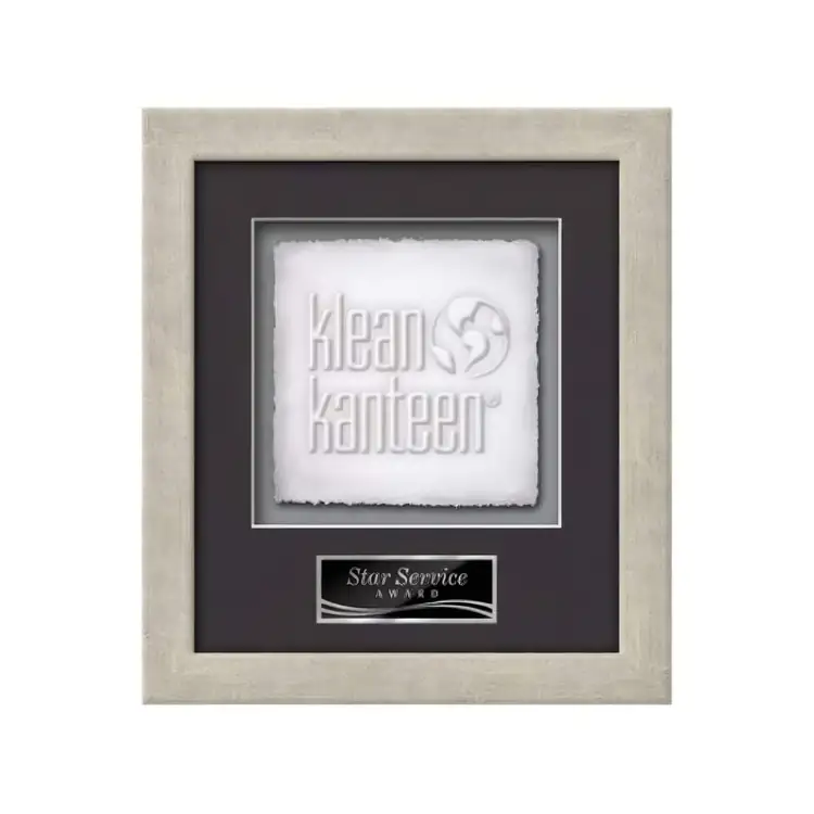 Waterleaf Eldridge Cast Paper Framed Award #15