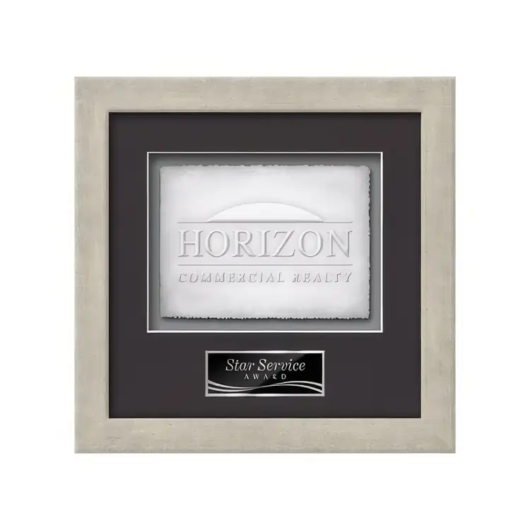 Waterleaf Eldridge Cast Paper Framed Award #16