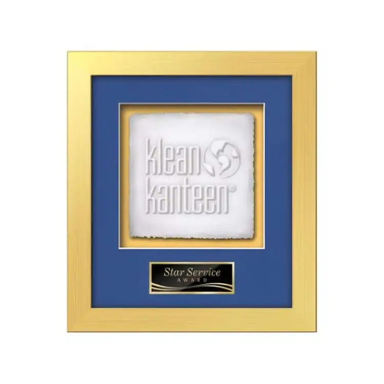 Waterleaf Eldridge Cast Paper Framed Award #21