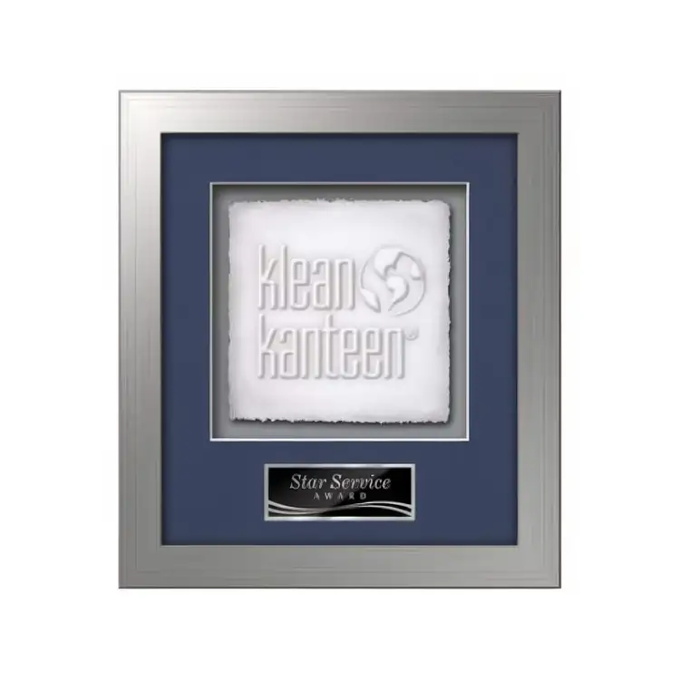 Waterleaf Eldridge Cast Paper Framed Award #3