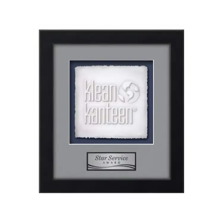 Waterleaf Eldridge Cast Paper Framed Award #6
