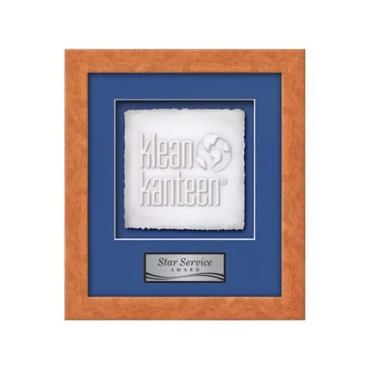 Waterleaf Eldridge Cast Paper Framed Award #9