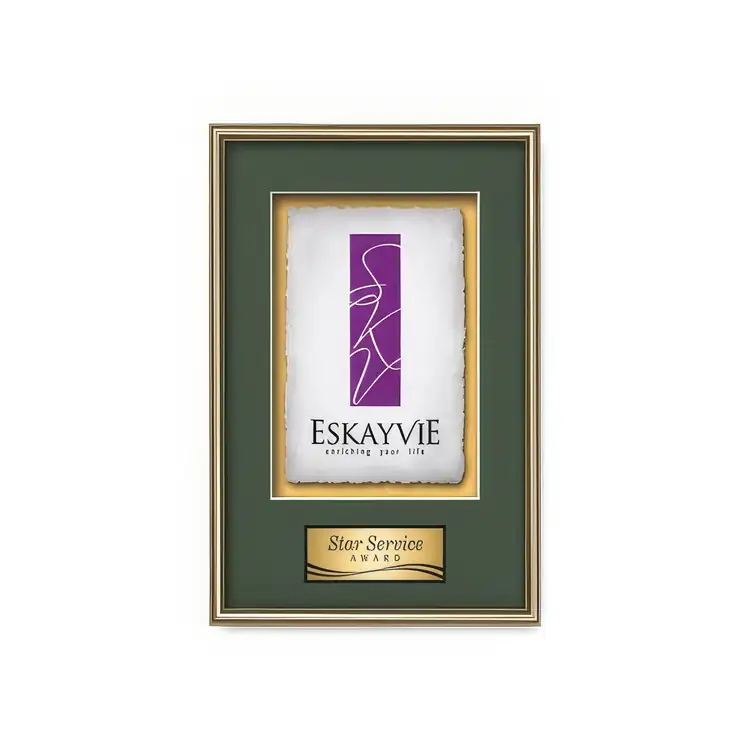 Waterleaf Fenestra Multicolor on Artisan Paper Framed Award #10