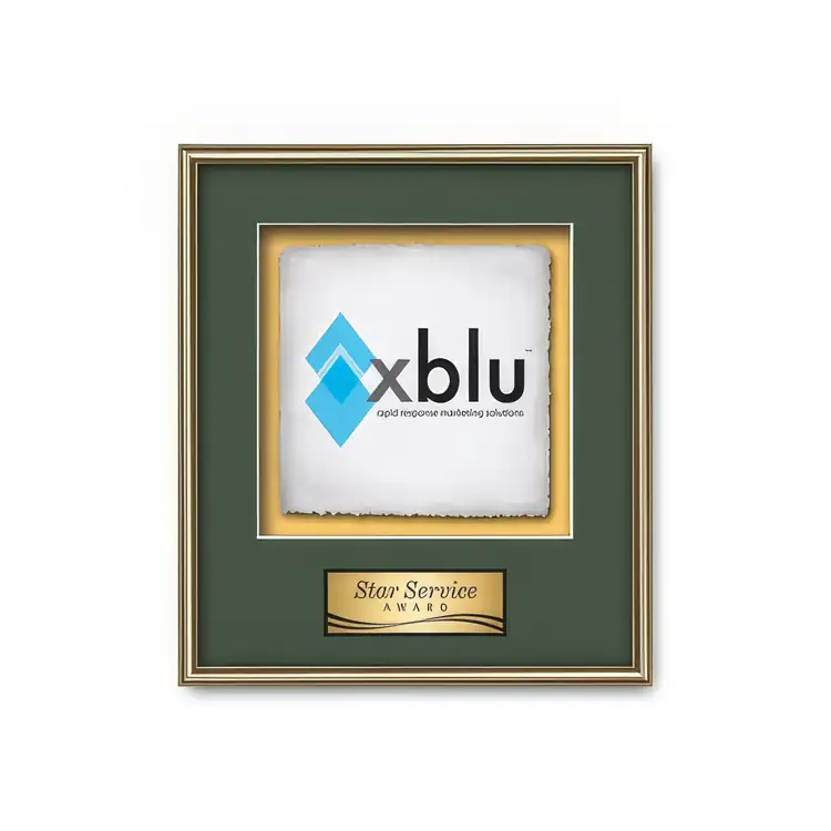 Waterleaf Fenestra Multicolor on Artisan Paper Framed Award #12
