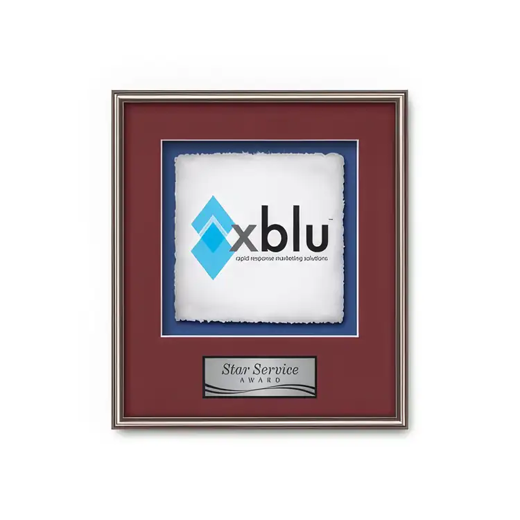 Waterleaf Fenestra Multicolor on Artisan Paper Framed Award #4