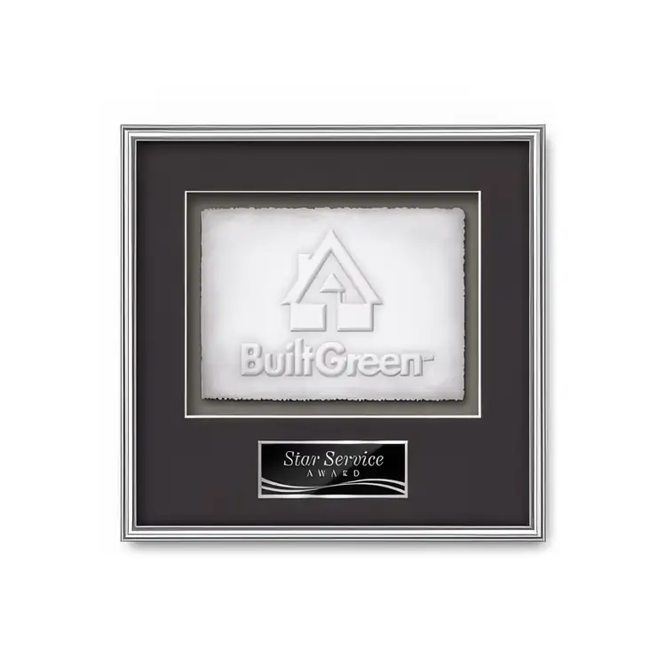 Waterleaf Fenestra Cast Paper Framed Award #10