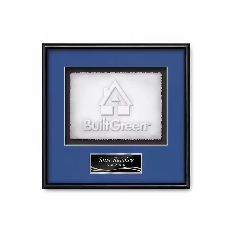 Waterleaf Fenestra Cast Paper Framed Award #4