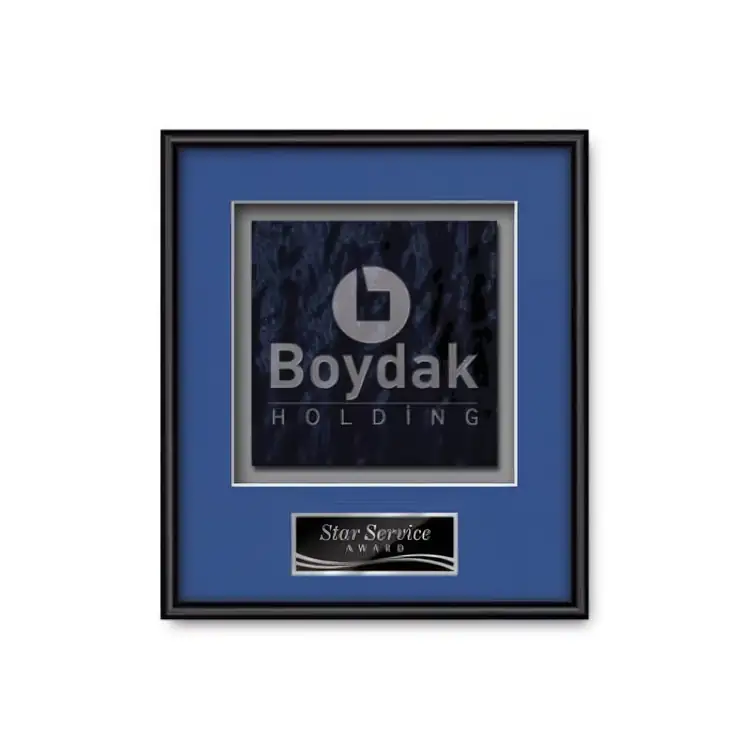 Waterleaf Fenestra Stained Glass Framed Award #11