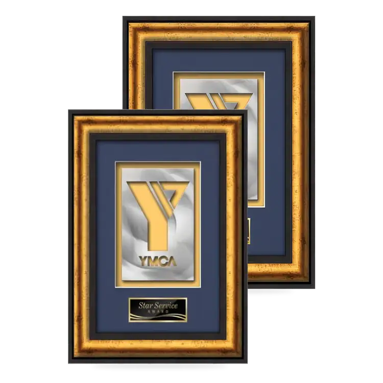 Waterleaf Grazia AquaShape Framed Award
