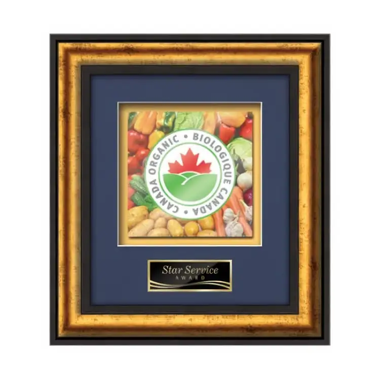 Waterleaf Grazia Multicolor on Metal Framed Award #3