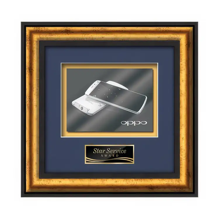 Waterleaf Grazia Multicolor on Metal Framed Award #4