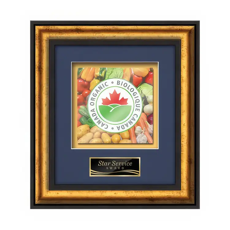 Waterleaf Grazia Multicolor on Metal Framed Award #5