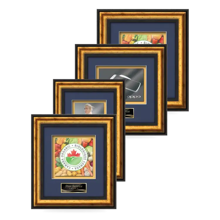 Waterleaf Grazia Multicolor on Metal Framed Award