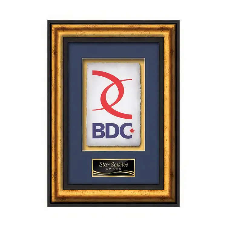 Waterleaf Grazia Multicolor on Artisan Paper Framed Award #2