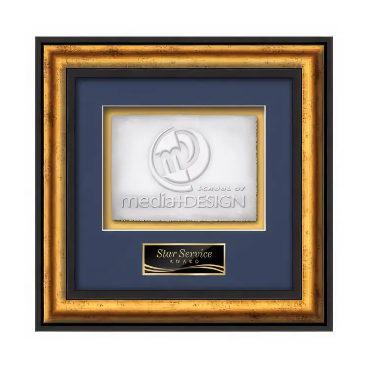 Waterleaf Grazia Cast Paper Framed Award #4