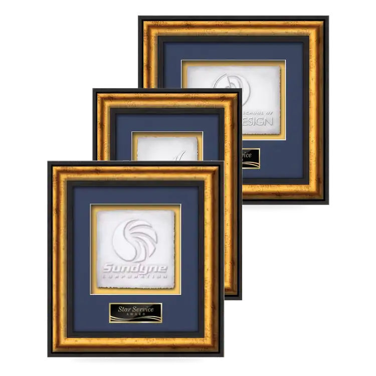 Waterleaf Grazia Cast Paper Framed Award