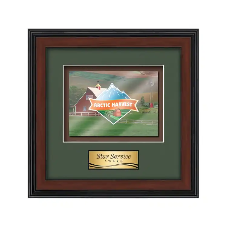Waterleaf Jasper Multicolor on Metal Framed Award #12