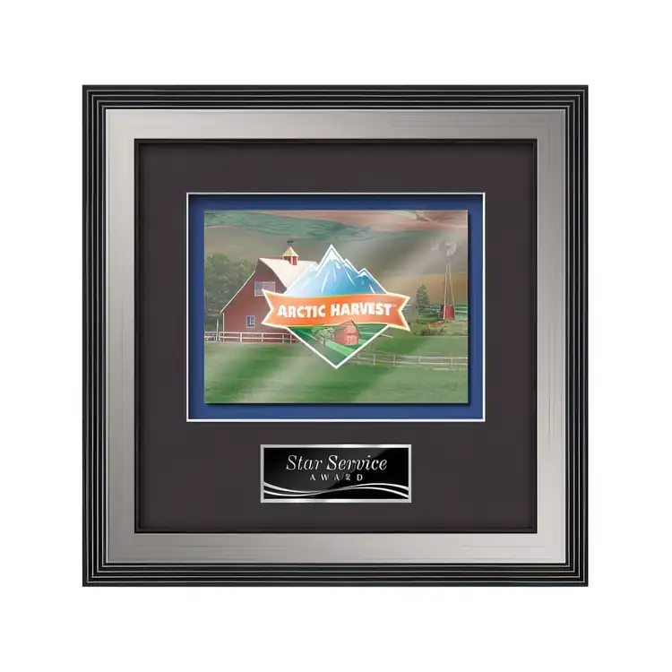 Waterleaf Jasper Multicolor on Metal Framed Award #16