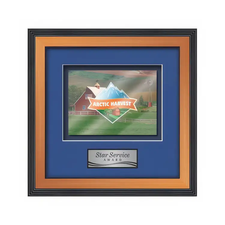 Waterleaf Jasper Multicolor on Metal Framed Award #4