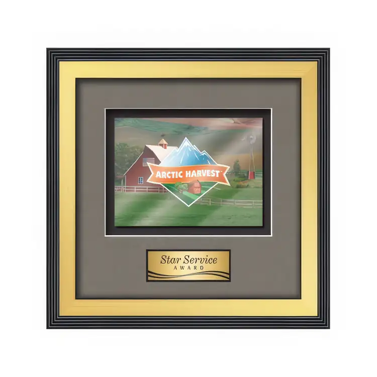 Waterleaf Jasper Multicolor on Metal Framed Award #8
