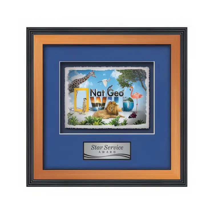 Waterleaf Jasper Multicolor on Artisan Paper Framed Award #12