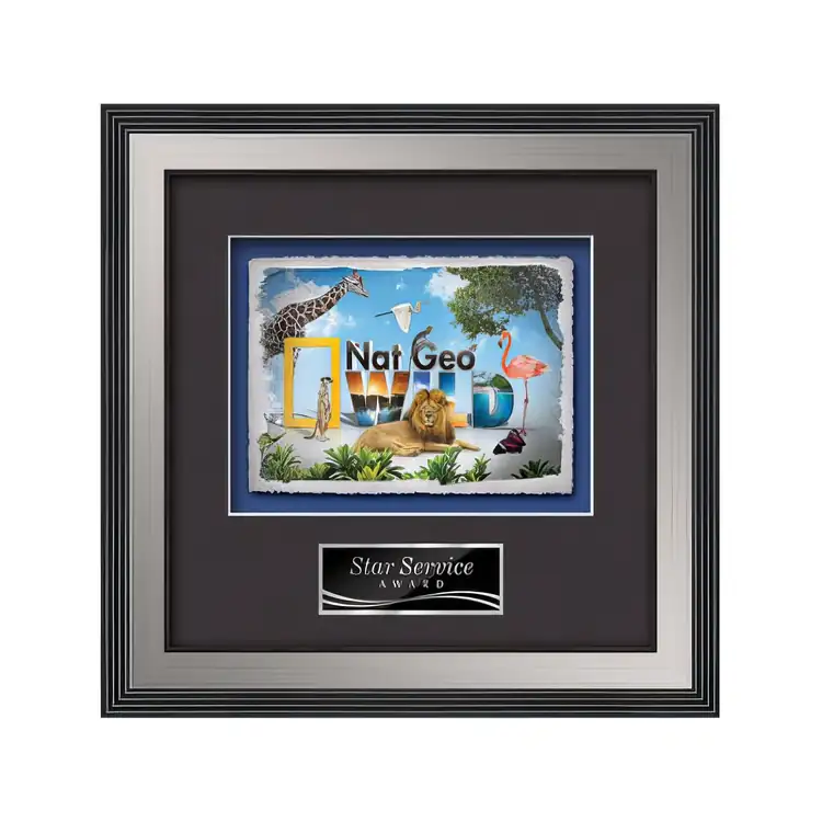Waterleaf Jasper Multicolor on Artisan Paper Framed Award #16