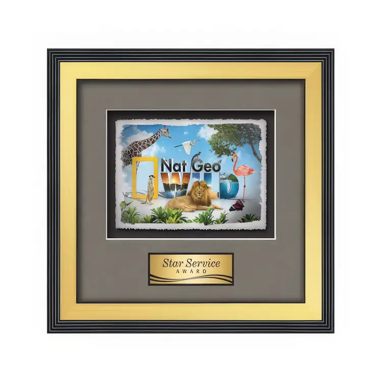 Waterleaf Jasper Multicolor on Artisan Paper Framed Award #4