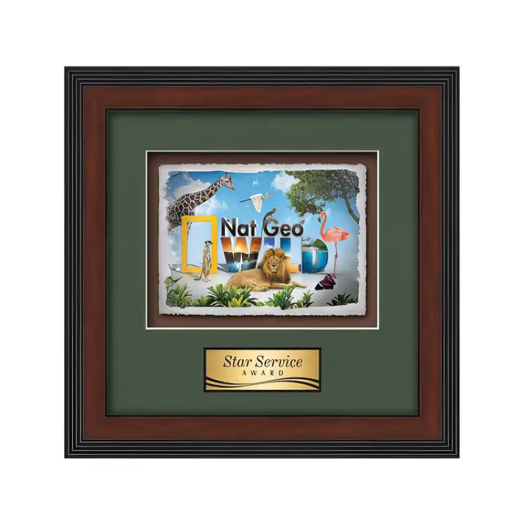 Waterleaf Jasper Multicolor on Artisan Paper Framed Award #8