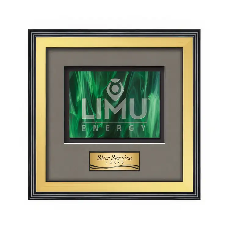 Waterleaf Jasper Stained Glass Framed Award #11