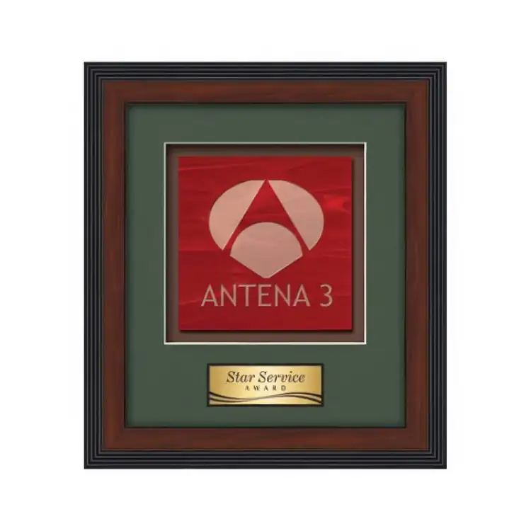 Waterleaf Jasper Stained Glass Framed Award #14