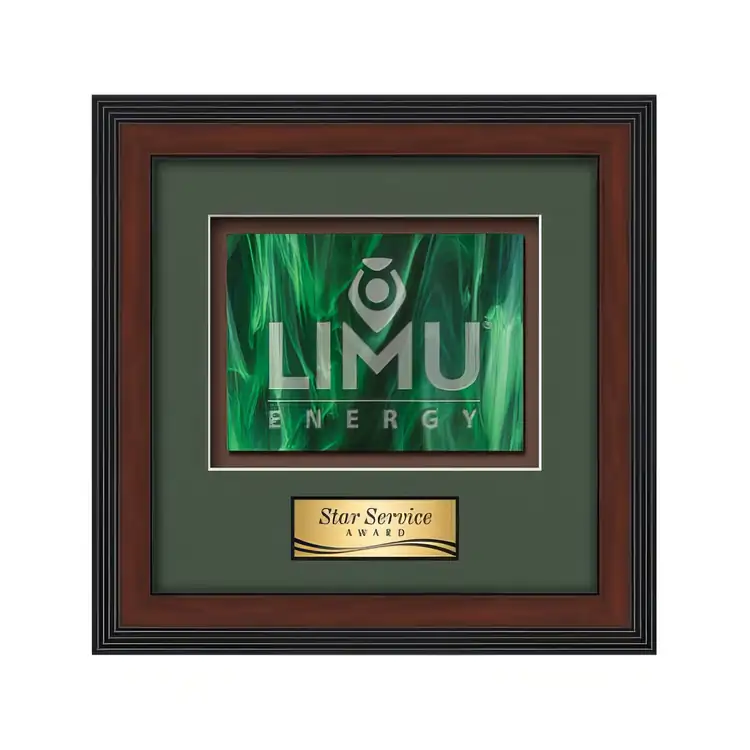 Waterleaf Jasper Stained Glass Framed Award #15