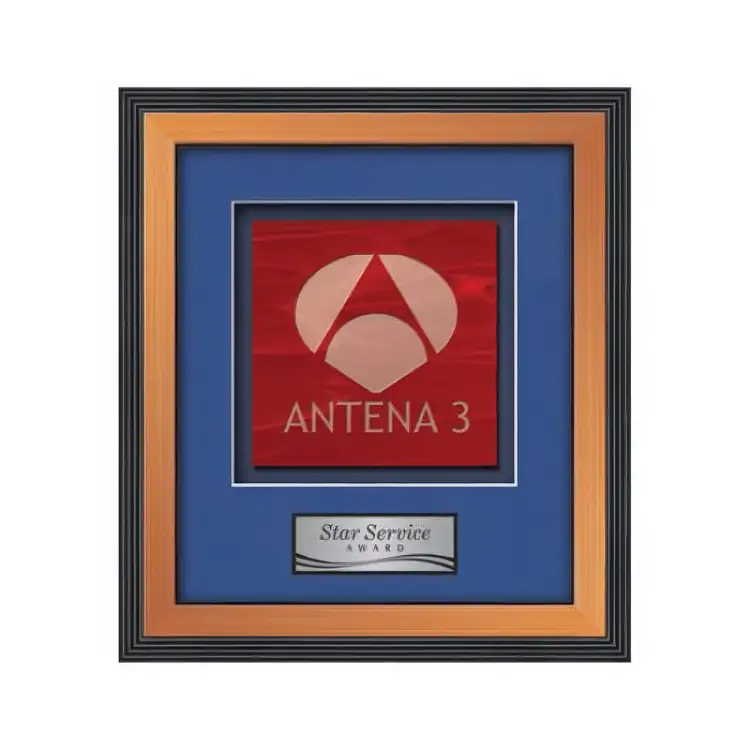 Waterleaf Jasper Stained Glass Framed Award #3