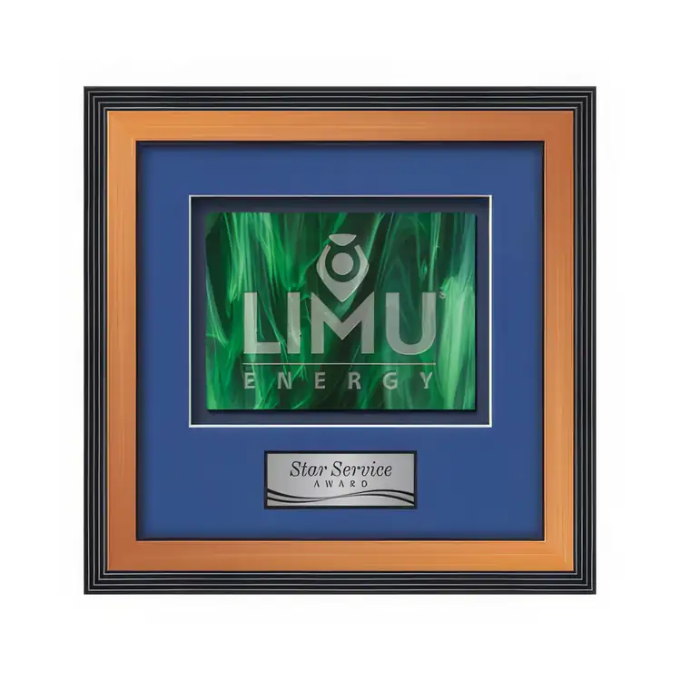Waterleaf Jasper Stained Glass Framed Award #4