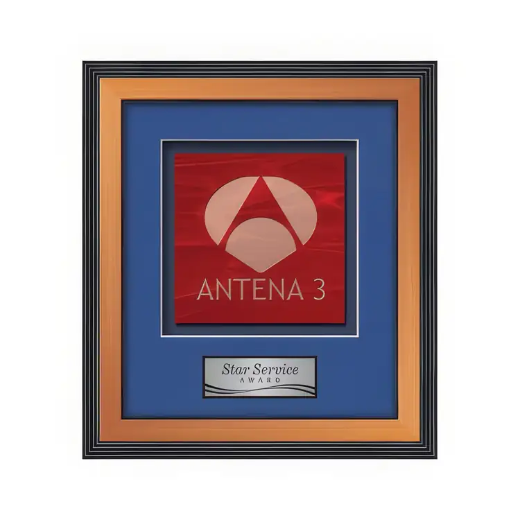 Waterleaf Jasper Stained Glass Framed Award #5