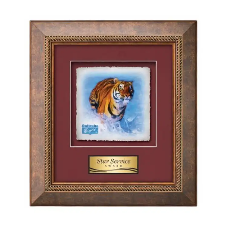 Waterleaf Lazio Multicolor on Artisan Paper Framed Award #3