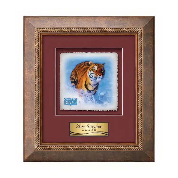 Waterleaf Lazio Multicolor on Artisan Paper Framed Award #5