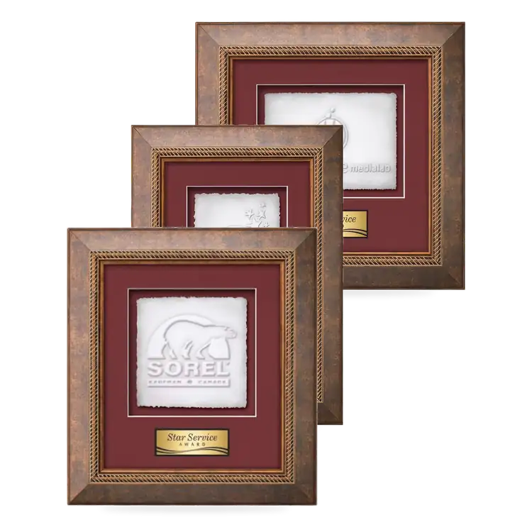 Waterleaf Lazio Cast Paper Framed Award