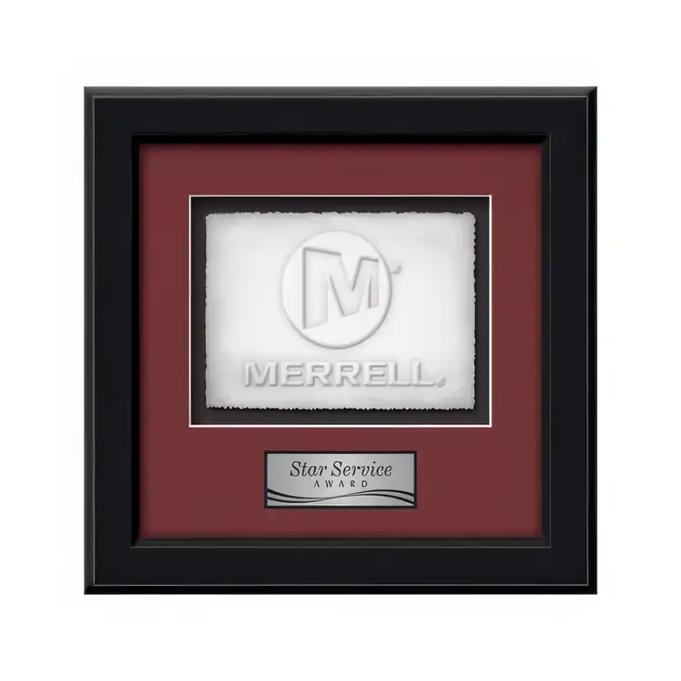 Waterleaf Myriad Cast Paper Framed Award #4