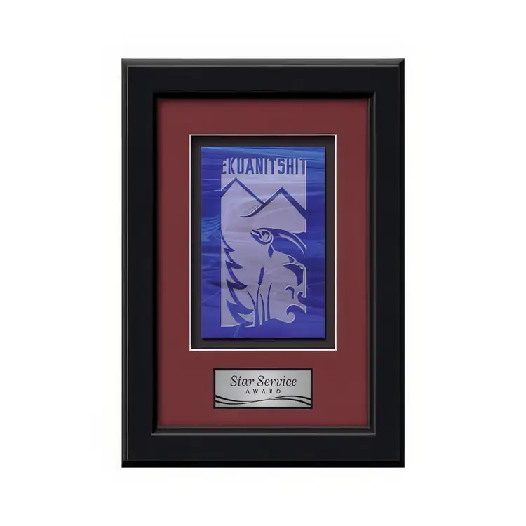 Waterleaf Myriad Stained Glass Framed Award #2