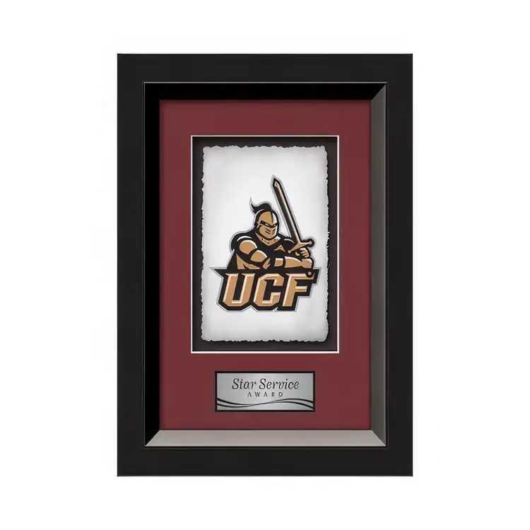 Waterleaf Omni Multicolor on Artisan Paper Framed Award #2