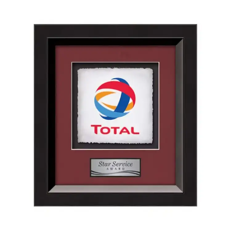Waterleaf Omni Multicolor on Artisan Paper Framed Award #3