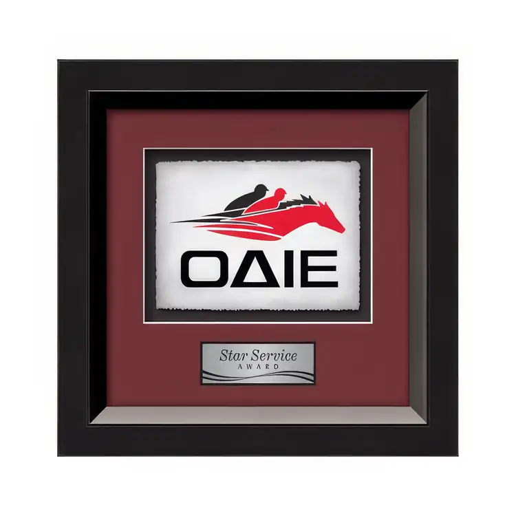Waterleaf Omni Multicolor on Artisan Paper Framed Award #4