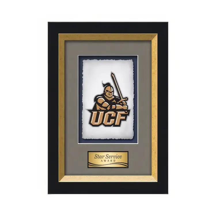 Waterleaf Omni Multicolor on Artisan Paper Framed Award #5